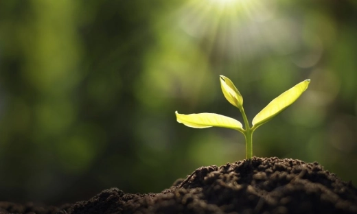 Ponad połowa małych firm jest świadoma ekologicznie