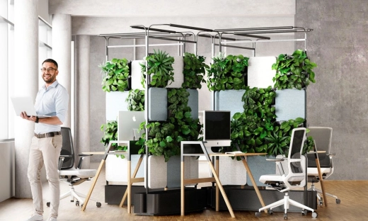 Meble biurowe z żywą roślinnością to przyszłość? Milion złotych dla 4Nature System