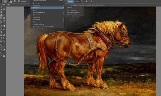 Oprogramowanie za darmo – czy zawsze się opłaca?