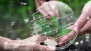 Bank Ochrony Środowiska publikuje przewodnik dla MŚP: „Zasady zrównoważonego finansowania"